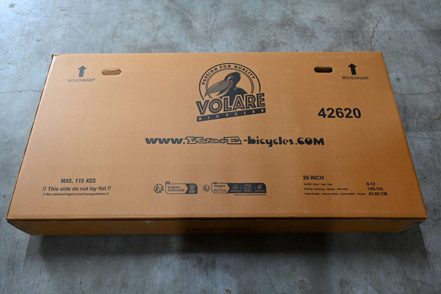 Volare Rocky Kinderfahrrad für Jungen - 26 Zoll in Grün für sicheres Fahren