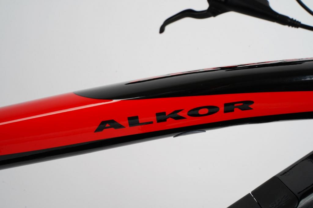 LOVELEC Alkor Rot/Schwarz E-Bike 17" Rahmen 29" Reifen 15Ah Batterie Mountainbike Scheibenbremse