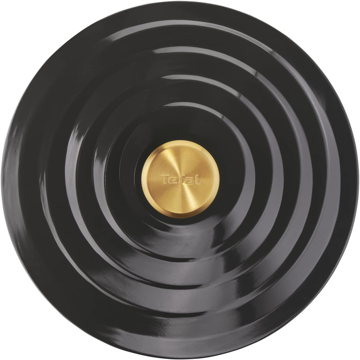 Nur der Deckel des Tefal E2554604 Kochtopf von Oben