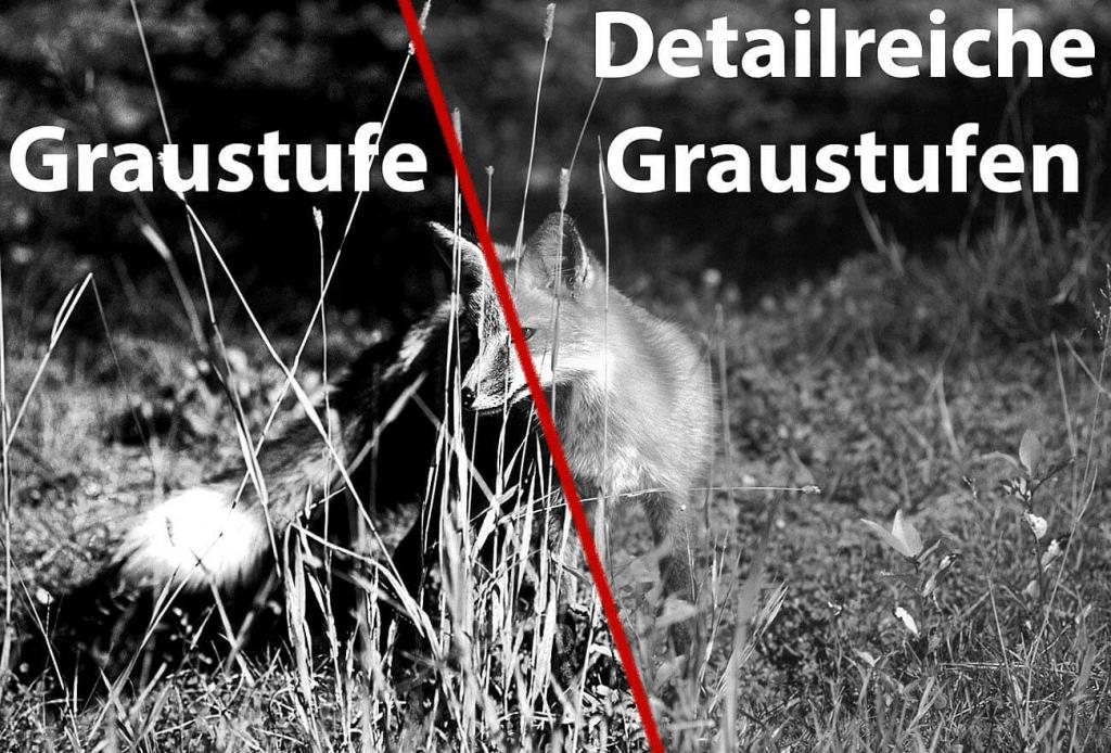 Zavarius DN-800 V2 Nachtsicht Fernglas Nachtsichtgerät binokular HD-Videokamera 700 m IR-Sichtweite