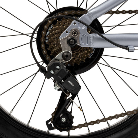 Nahaufnahme eines Fahrrad-Hinterrads mit Schaltwerk und Kette