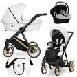 Kombikinderwagen in drei Ansichten: links Seitenansicht mit Babywanne, rechts Frontansicht mit Sportsitz, unten Vorderansicht eines passenden Rucksacks.