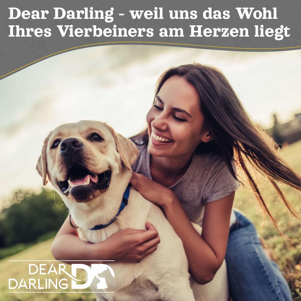 DEAR DARLING DD-06 Luxus Hundebett Katzenbett Braun Anthrazit Memoryschaum Matratze Gr. S,M, L