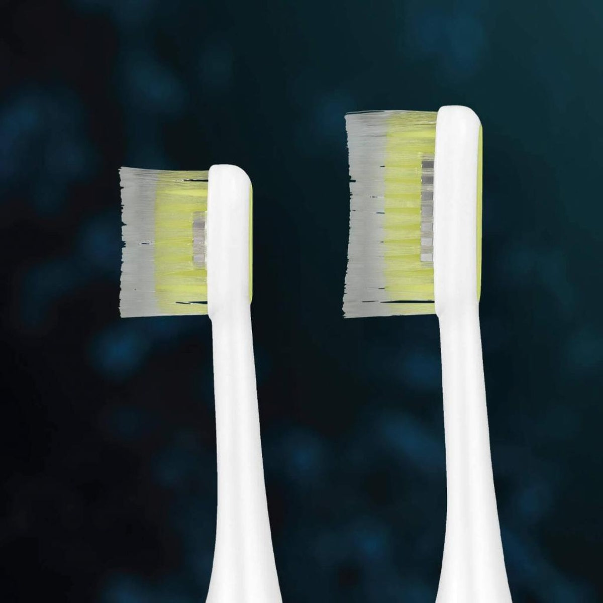 Silk`n Toothwave Zahnbürstenkopf
