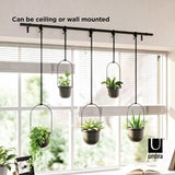 Umbra Triflora BLACK Hängeblumentopf 5er-Set, Wandvase, Blumentopf, Blumenampel für Wand-& Deckenanbringung