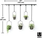 Umbra Triflora BLACK Hängeblumentopf 5er-Set, Wandvase, Blumentopf, Blumenampel für Wand-& Deckenanbringung