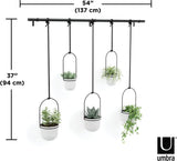 Umbra Triflora WHITE Hängeblumentopf, Wandvase, Blumentopf, Blumenampel für Wand-& Deckenanbringung